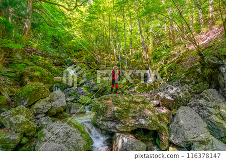 Climbers taking a forest bath in a mountain stream Climbers taking a forest bath in a mountain stream 116378147