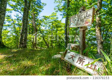 寂靜名山百合岳(大莊山)山頂(奈良縣吉野郡川上村下子) *照片位置見作品評論區 寂靜名山百合岳(大莊山)山頂(奈良縣吉野郡川上村下子) *照片位置見作品評論區 116378153