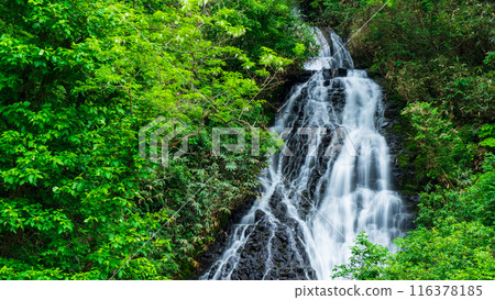 Nanataki Falls (Osaka Town, Akita Prefecture) Nanataki Falls (Osaka Town, Akita Prefecture) 116378185
