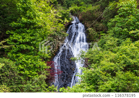 Nanataki Falls (Osaka Town, Akita Prefecture) Nanataki Falls (Osaka Town, Akita Prefecture) 116378195