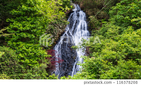 Nanataki Falls (Osaka Town, Akita Prefecture) 116378208