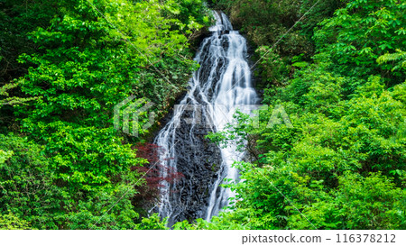 Nanataki Falls (Osaka Town, Akita Prefecture) 116378212