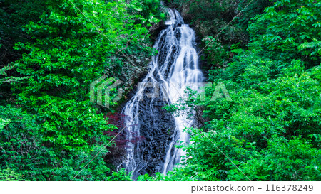 Nanataki Falls (Osaka Town, Akita Prefecture) Nanataki Falls (Osaka Town, Akita Prefecture) 116378249