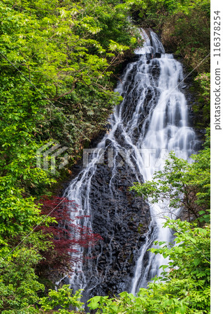 Nanataki Falls (Osaka Town, Akita Prefecture) 116378254