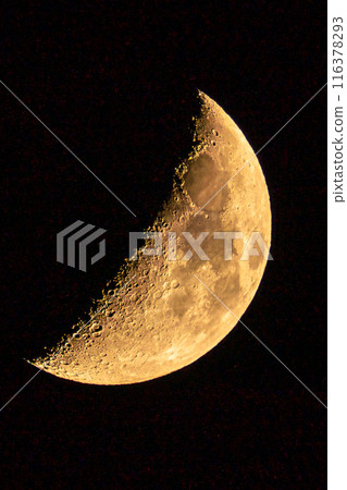 新月在夜空中閃耀 116378293