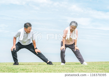 Senior couple doing bending exercises, warm-up exercises and stretching in the park 116378395