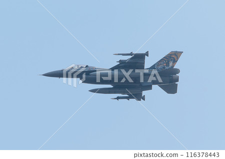 挪威空軍 F-16AM 虎紋戰鬥機 116378443