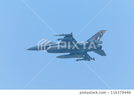 挪威空軍 F-16AM 虎紋戰鬥機 116378446