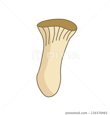 Illustration of simple eryngii Illustration of simple eryngii 116378465