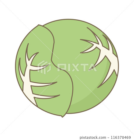 簡單的白菜的插圖 簡單的白菜的插圖 116378469