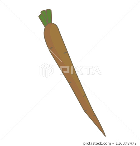 Simple burdock illustration 116378472