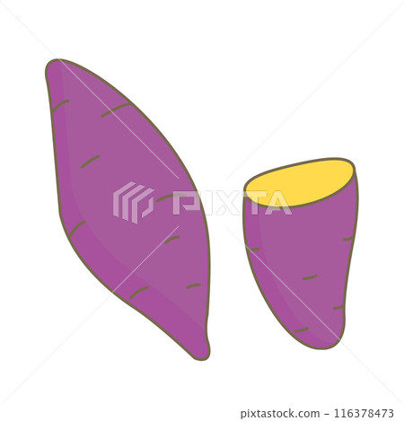 simple sweet potato illustration 116378473