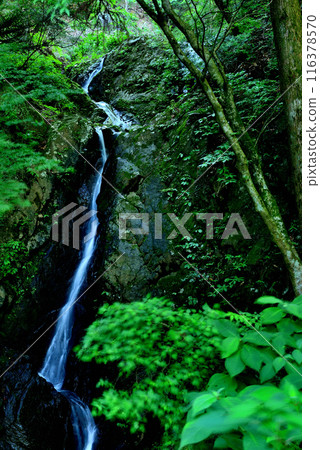 Kanagawa Prefecture Oyama Afuri Shrine Double Waterfall Scenery 116378570