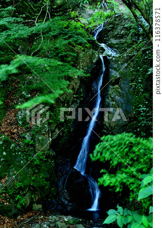 Kanagawa Prefecture Oyama Afuri Shrine Double Waterfall Scenery 116378571