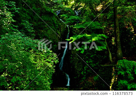 神奈川縣小山阿夫利神社雙瀑布風景 116378573