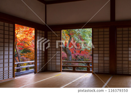 Autumn in Kyoto: Splendid autumn foliage at Hokyo-in Temple, view from the main hall 116379350