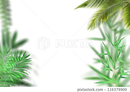 Palm leaf on white background Palm leaf on white background 116379900
