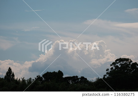 Summer clouds Summer clouds 116380275