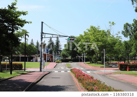 Miyagi Kakuta UFO traffic light 116380318