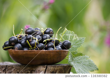 Fresh blackcurrants in wooden bowl on tree stump with green natural background 116380382