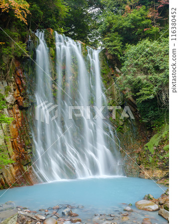 Kagoshima_Image of autumn leaves and Maruo Falls Kagoshima_Image of autumn leaves and Maruo Falls 116380452