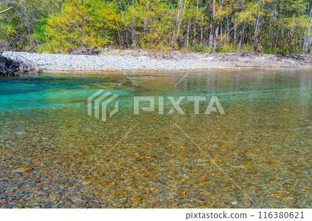 [Autumn material] Kinshu Kamikochi and the clear stream of Azusa River [Nagano Prefecture] 116380621