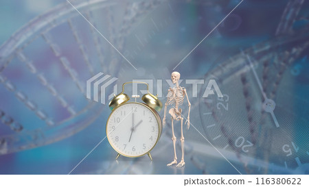 The skeleton and alarm clock for sci or medical concept 3d rendering. 116380622