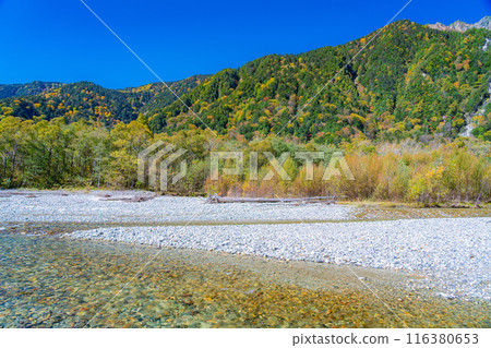 [秋季素材]錦州上高地和梓川的清流[長野縣] 116380653