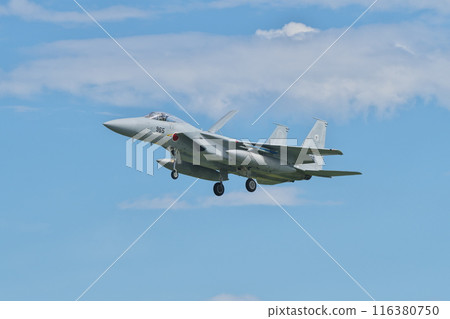 Komatsu Air Base 303rd Squadron F-15J landing 116380750