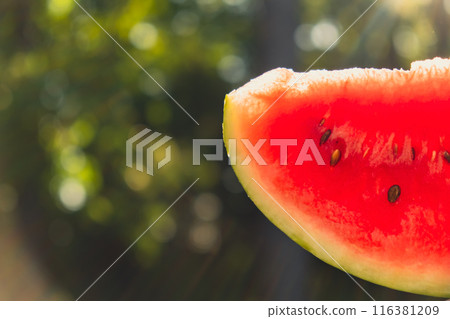 Fresh juicy red watermelon slice in hands on background of outdoor garden in summertime during sunset. Concept of summer holidays and vacation. Slow-living Fresh juicy red watermelon slice in hands on background of outdoor garden in summertime during sunset. Concept of summer holidays and vacation. Slow-living 116381209