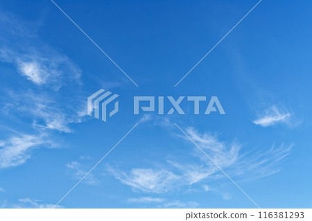 夏天的藍天白雲 夏天的藍天白雲 116381293