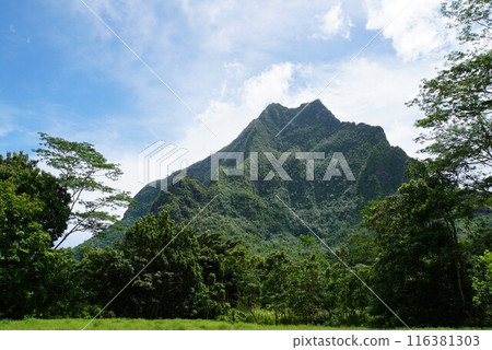 Moorea landscape 116381303