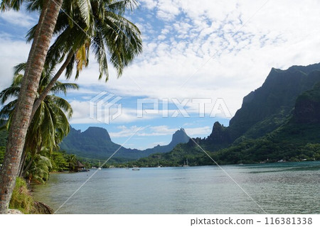 Cook Bay scenery, Moorea 116381338