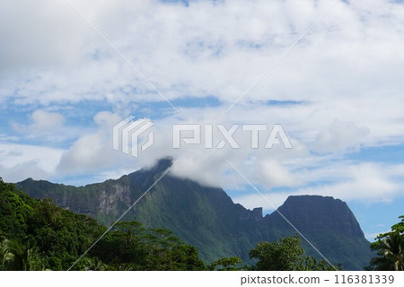 Moorea landscape 116381339