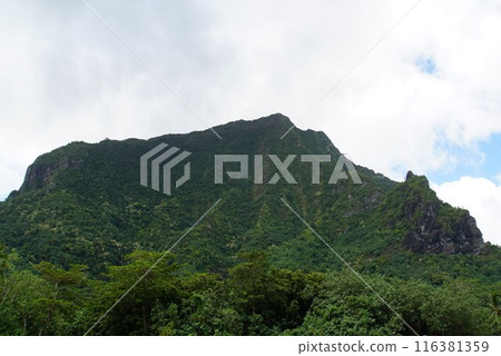 Moorea landscape Moorea landscape 116381359