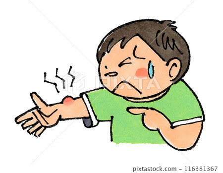 A boy bitten by an insect A boy bitten by an insect 116381367