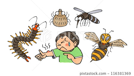 Boy bitten by insects (centipede, tick, mosquito, wasp) 116381369