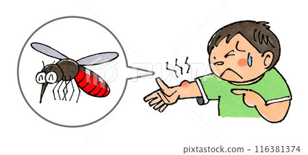A boy stabbed by a mosquito 116381374