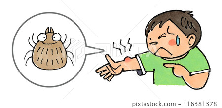 boy bitten by a tick boy bitten by a tick 116381378