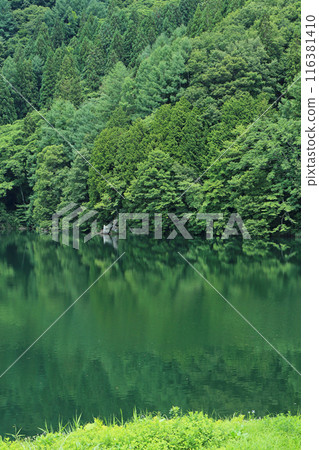 Nakatsuna湖在夏天 116381410