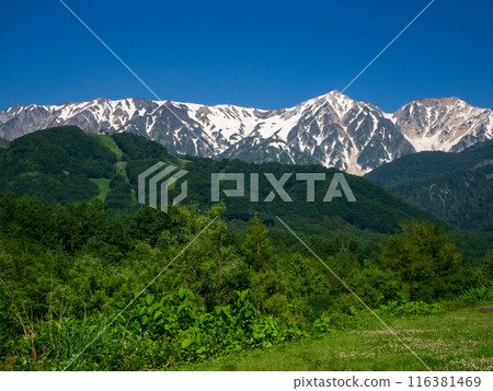 白雪皚皚的北阿爾卑斯山和長野縣白馬村鮮綠的草原 白雪皚皚的北阿爾卑斯山和長野縣白馬村鮮綠的草原 116381469