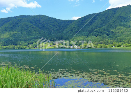 在夏天的城崎湖 116381480