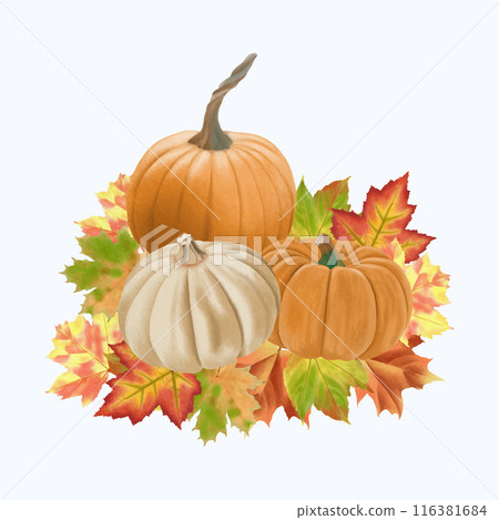 Cute Watercolor Fall Clipart - Download Cozy Autumn Illustration Cute Watercolor Fall Clipart - Download Cozy Autumn Illustration 116381684