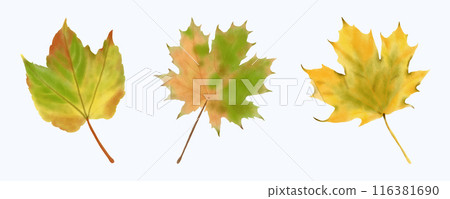 Cute Watercolor Fall Clipart - Download Cozy Autumn Illustration Cute Watercolor Fall Clipart - Download Cozy Autumn Illustration 116381690