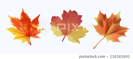 Cute Watercolor Fall Clipart - Download Cozy Autumn Illustration 116381691