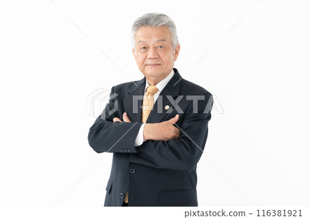 Business Senior Male Lawyer Business Senior Male Lawyer 116381921
