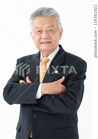 Business Senior Male Lawyer Business Senior Male Lawyer 116381922