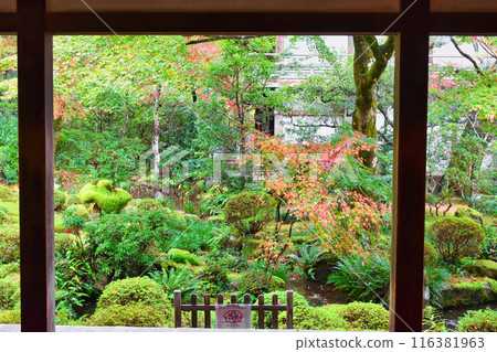 大原三千院秋葉十平園（京都市左京區） 116381963