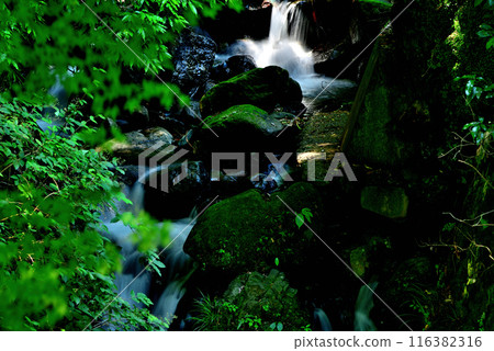 神奈川縣丹澤大山國定公園的瀑布風景 116382316