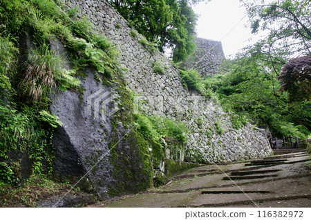 岡城跡、城堡入口、豐後竹田城（大分縣竹田市） 116382972